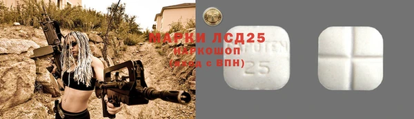 spice Каменка