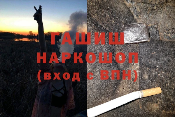 spice Каменка