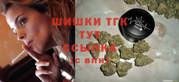 spice Каменка