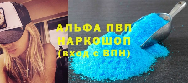 spice Каменка