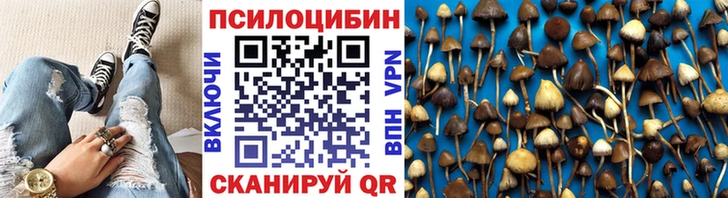 Купить закладки  Злынка  Галлюциногенные грибы Psilocybe 